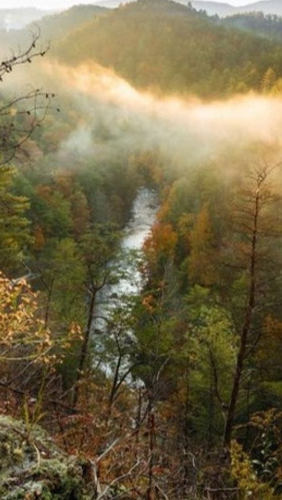 Fog rising over a forested river gorge in autumn